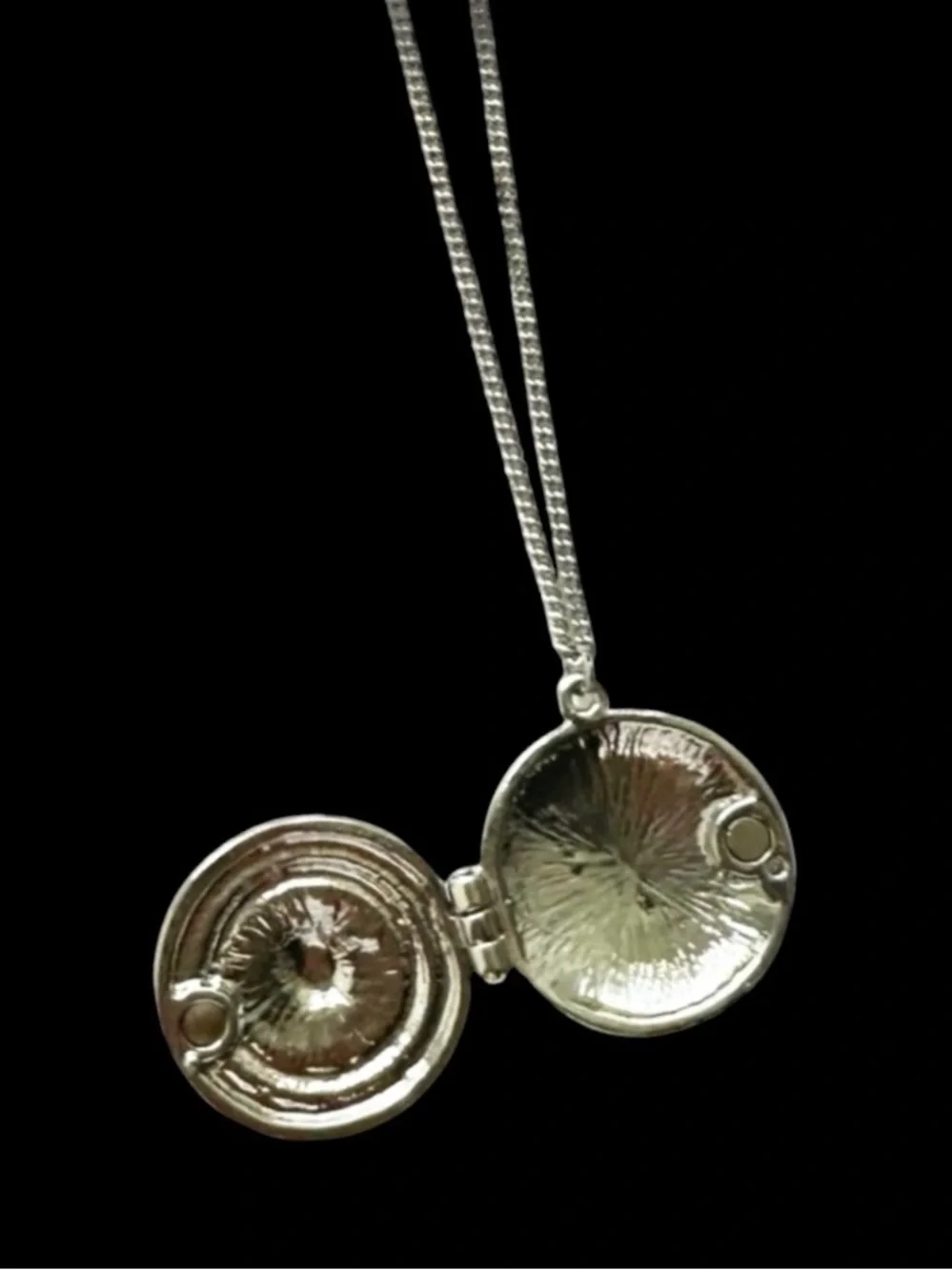 NEW Bebe Silver Round Snake Charm Locket Necklace